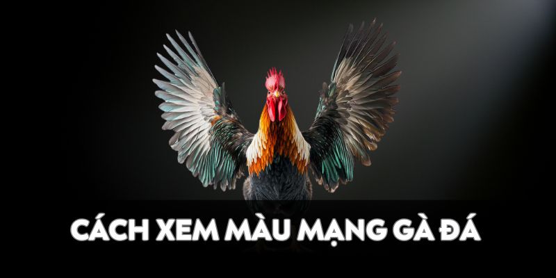 Cách xem màu mạng gà đá cụ thể