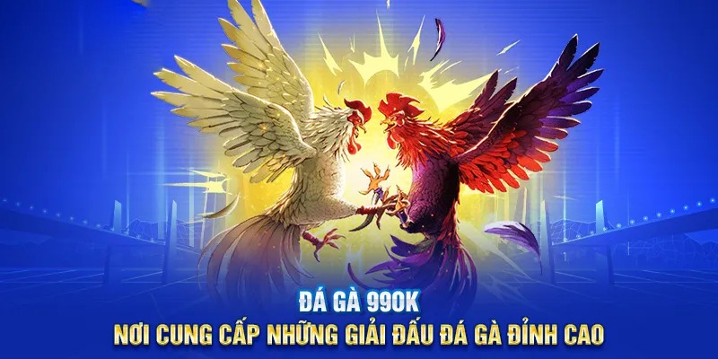 Cược Đá Gà chất chơi xanh chín trên nền tảng