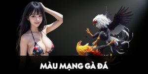 màu mạng gà đá