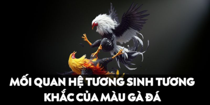 Mối quan hệ tương sinh tương khắc của màu gà đá