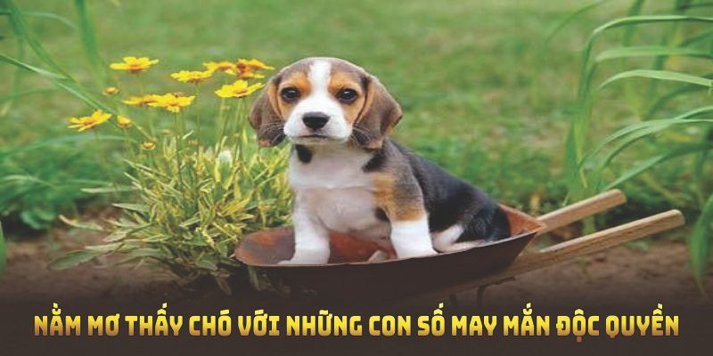 Nằm mơ thấy chó tại nhà cái 99OK với những con số may mắn độc quyền