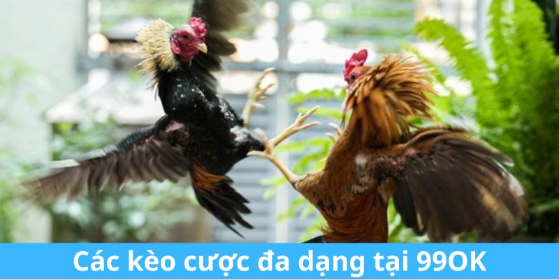 Sảnh cược liên kết với nền tảng 99ok